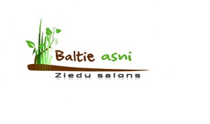 Baltie asni, SIA, flower shop